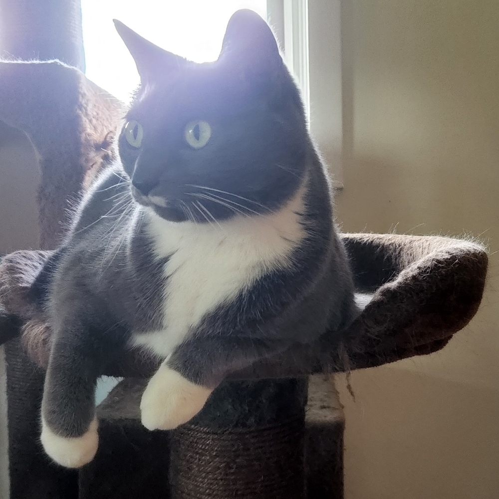 Meet your Posher, Blaire